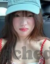 森林舞会单机中文下载-森林舞会，一场关于自然与和谐的单机之旅