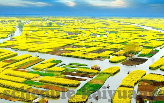足球比分即时比分比分-足球比分即时追踪，赛场风云，一触即发！